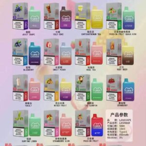 LANA5000口電子煙/LANA拋棄式電子煙/一次性電子煙